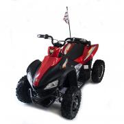 Детский спортивный электроквадроцикл Dongma ATV Red Brushless 12V
