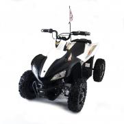 Детский спортивный электроквадроцикл Dongma ATV White Brushless 12V