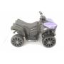 Детский электроквадроцикл Jiajia RBT-570-Violet