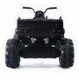 Детский квадроцикл Grizzly Next Black 4WD с пультом управления 2.4G